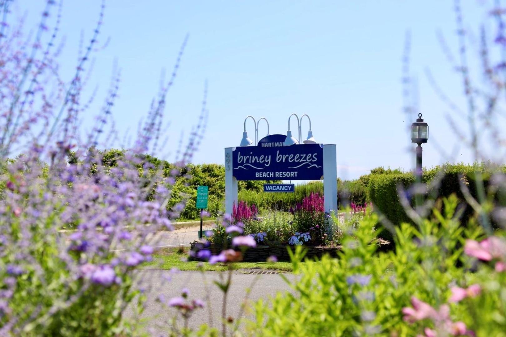 Hartman's Briney Breezes Beach Resort Montauk Exterior foto